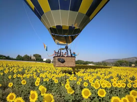 Globo sobre campo de girasoles